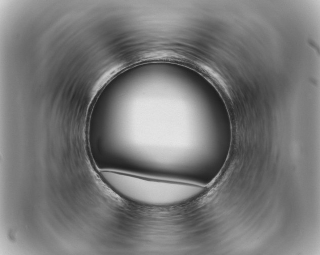 X0000094221330200710260946