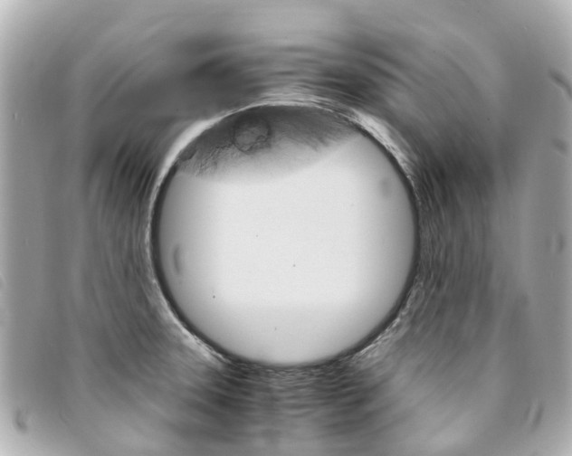 X0000094221331200710260946