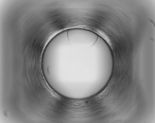 X0000094221332200710260946