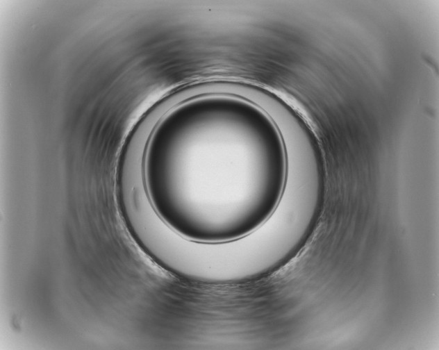 X0000094221333200710260946