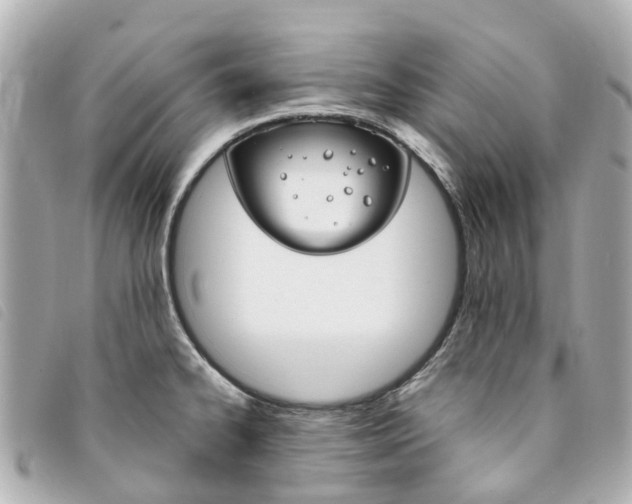 X0000094221334200710260946