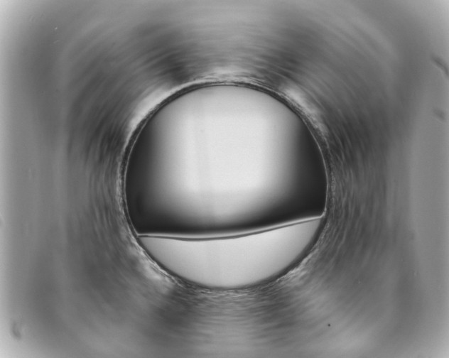 X0000094221336200710260946
