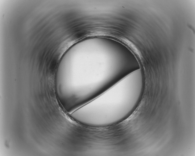 X0000094221337200710260946