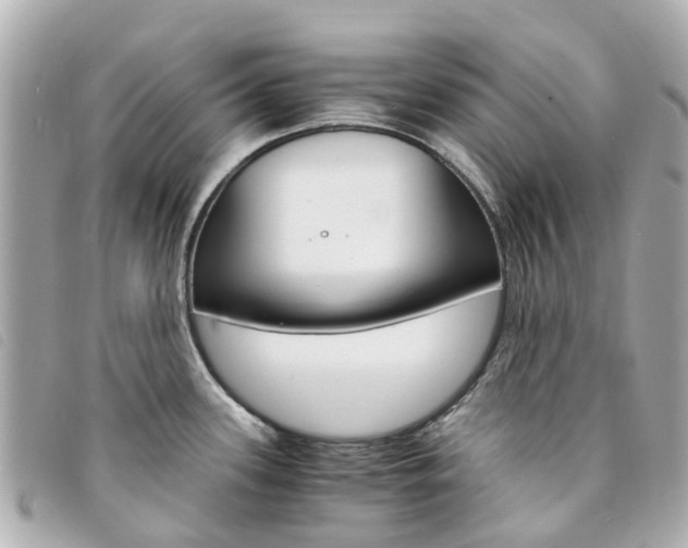 X0000094221339200710260946