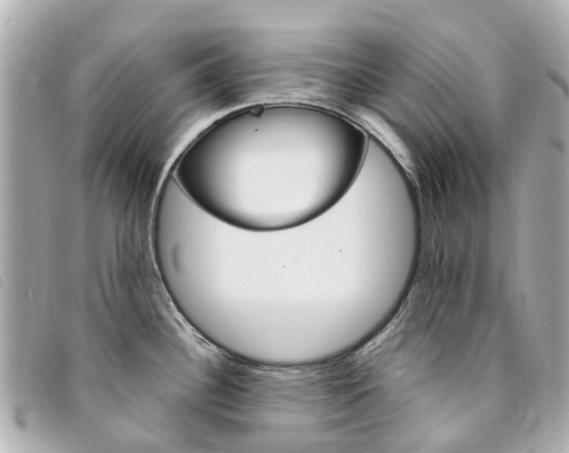 X0000094221340200710260946