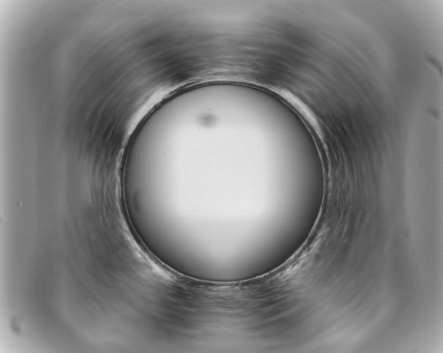 X0000094221341200710260946