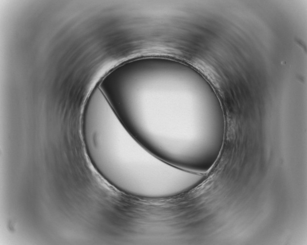 X0000094221342200710260946