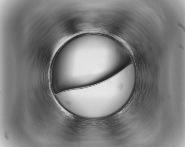 X0000094221343200710260946