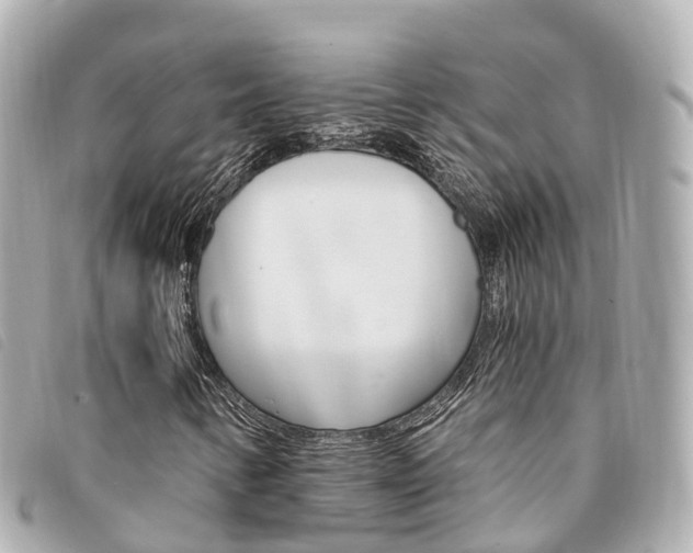 X0000094221346200710260945