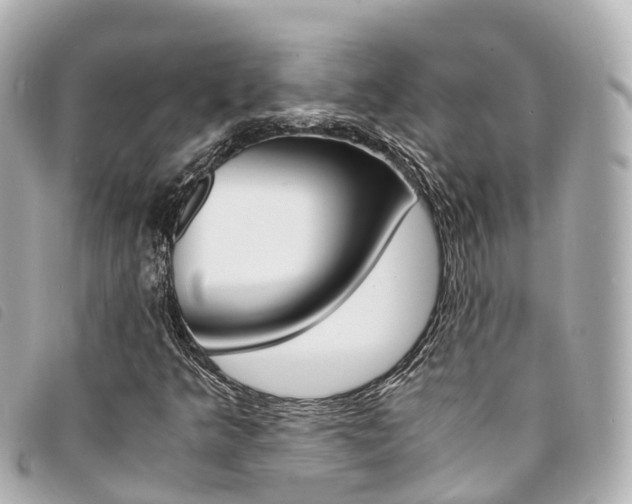 X0000094221349200710260945