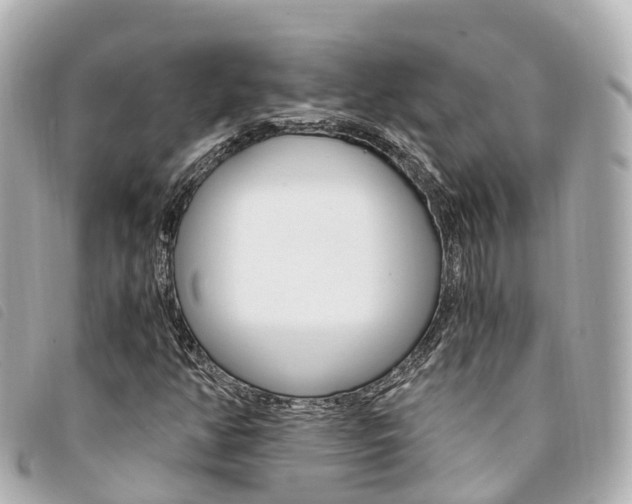 X0000094221350200710260945