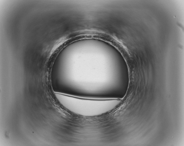 X0000094221352200710260945