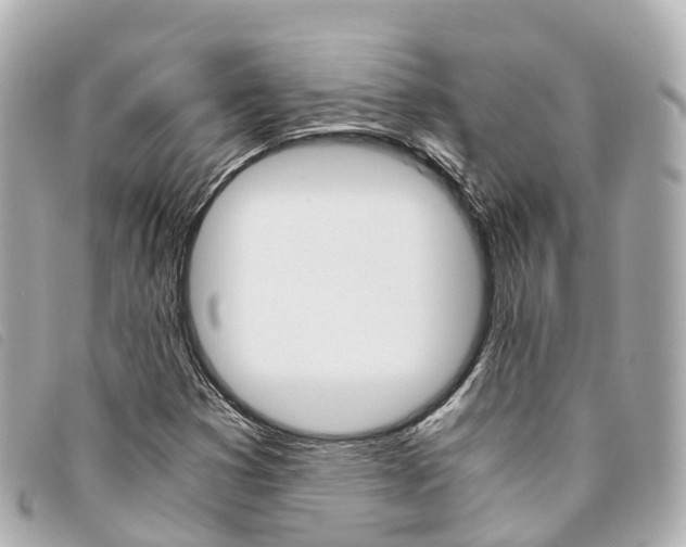 X0000094221353200710260945