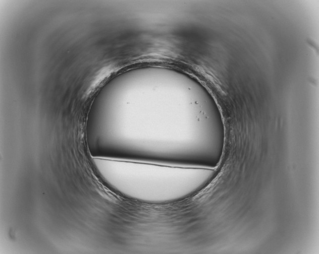 X0000094221355200710260945