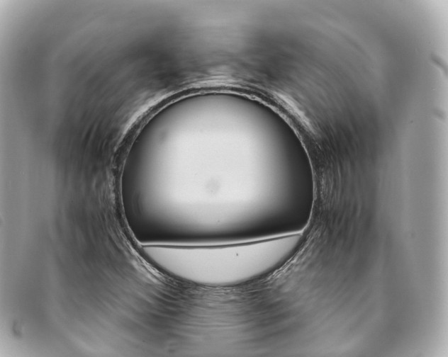 X0000094221356200710260945