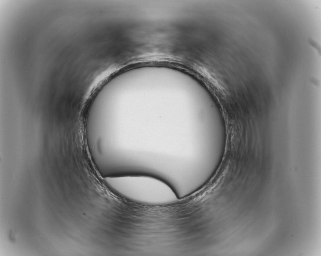 X0000094221358200710260945