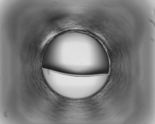 X0000094221359200710260945