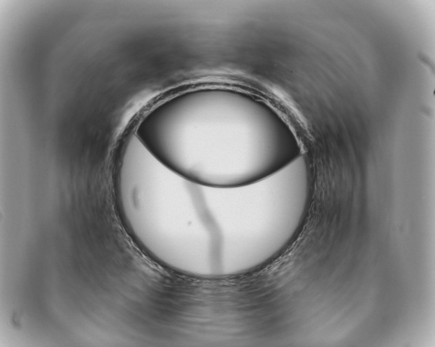 X0000094221360200710260945