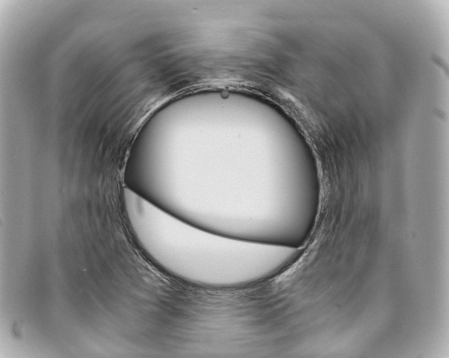 X0000094221361200710260945