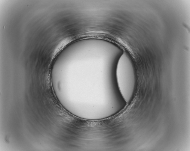 X0000094221362200710260945
