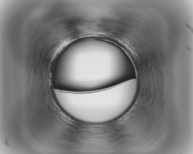 X0000094221363200710260945