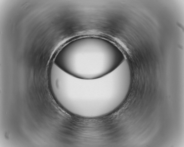 X0000094221364200710260945