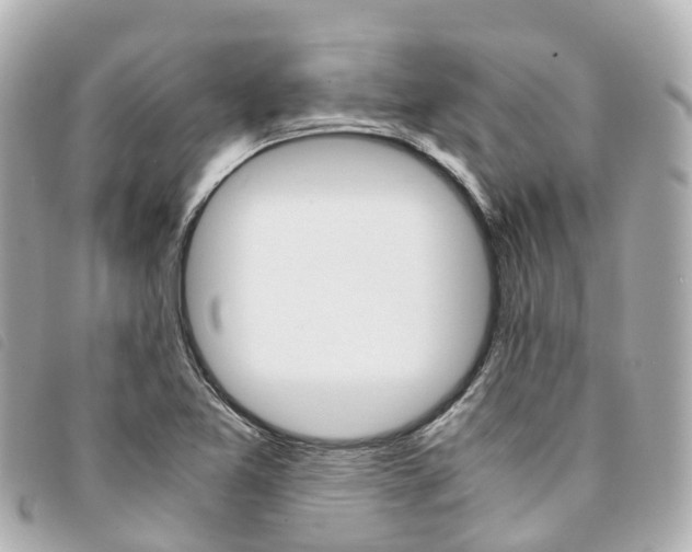 X0000094221365200710260945
