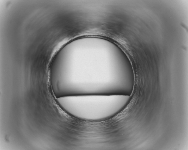 X0000094221366200710260945