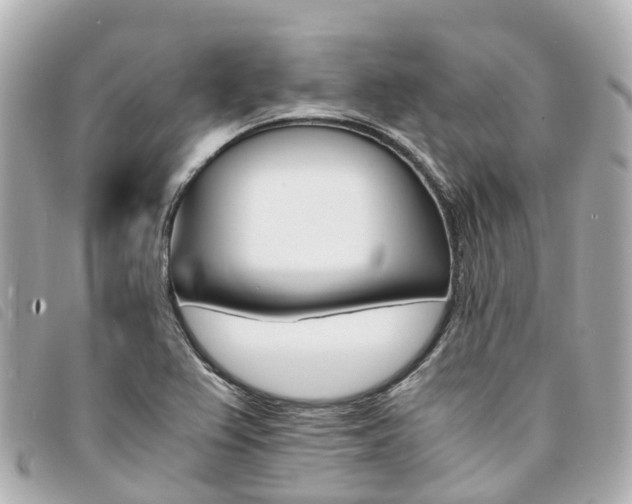 X0000094221367200710260945