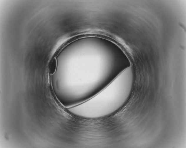 X0000094221368200710260945
