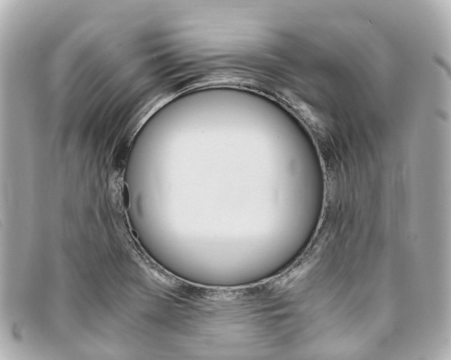X0000094221369200710260945
