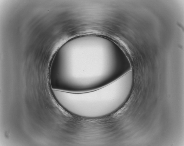 X0000094221373200710260945