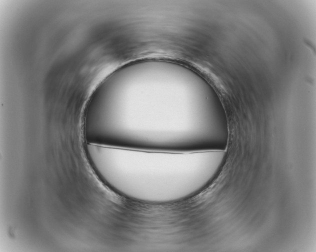 X0000094221375200710260945