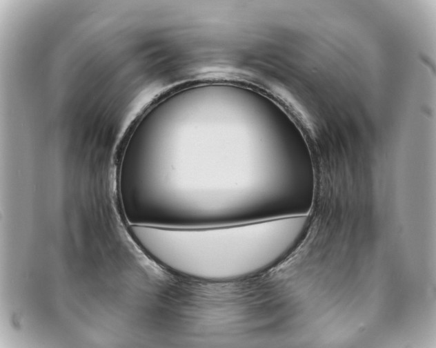 X0000094221376200710260945
