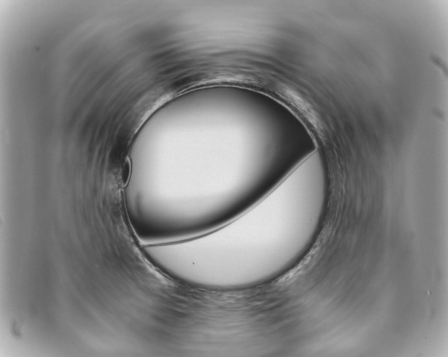 X0000094221377200710260945