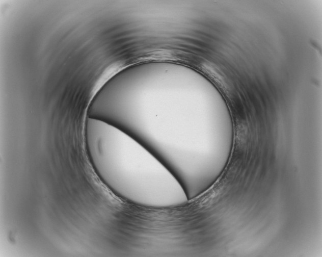 X0000094221378200710260945