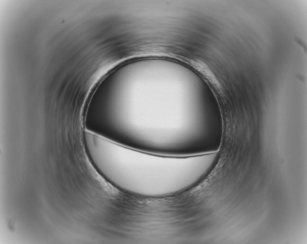 X0000094221380200710260945