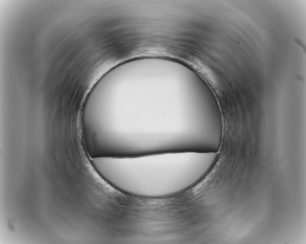 X0000094221382200710260945