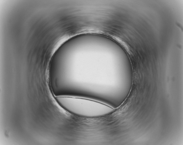 X0000094221383200710260945