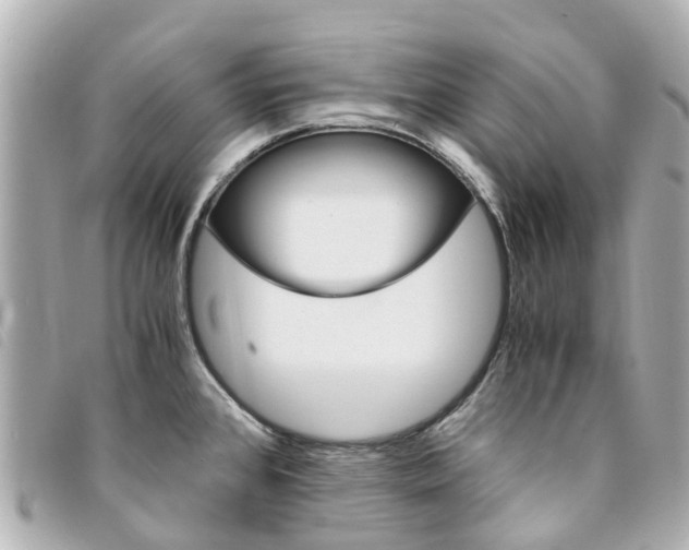 X0000094221384200710260945