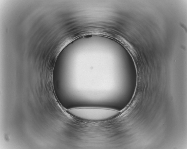 X0000094221385200710260945