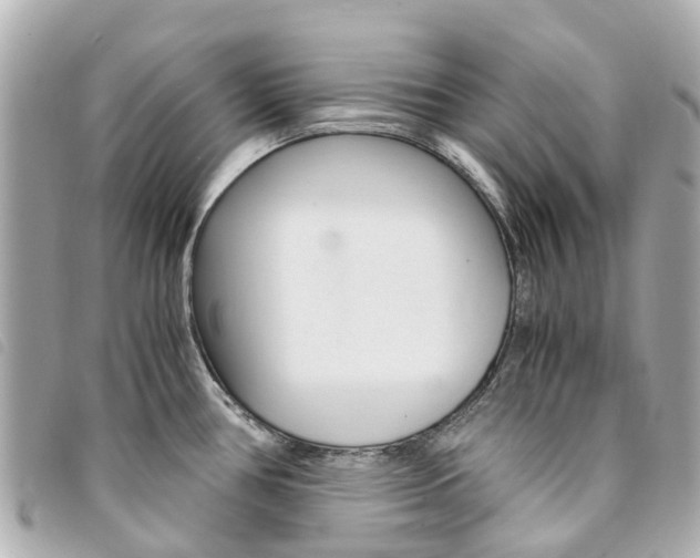 X0000094221386200710260945