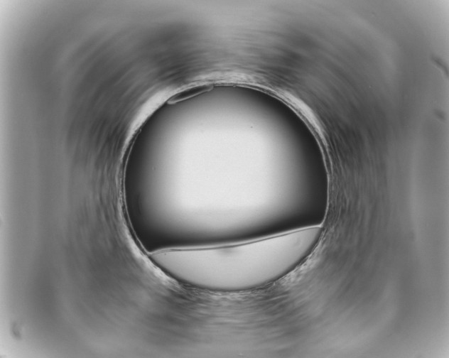 X0000094221389200710260945