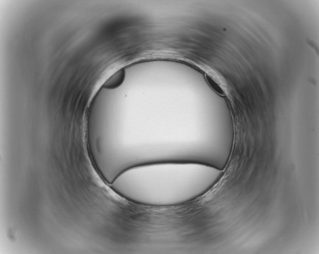 X0000094221390200710260945