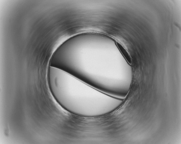 X0000094221391200710260945