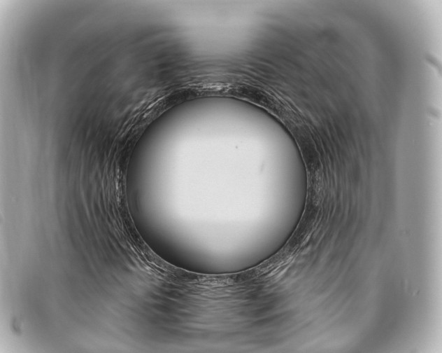 X0000094221394200710260944