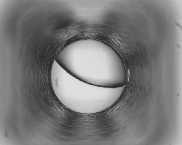 X0000094221395200710260944