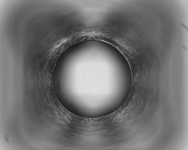 X0000094221398200710260944