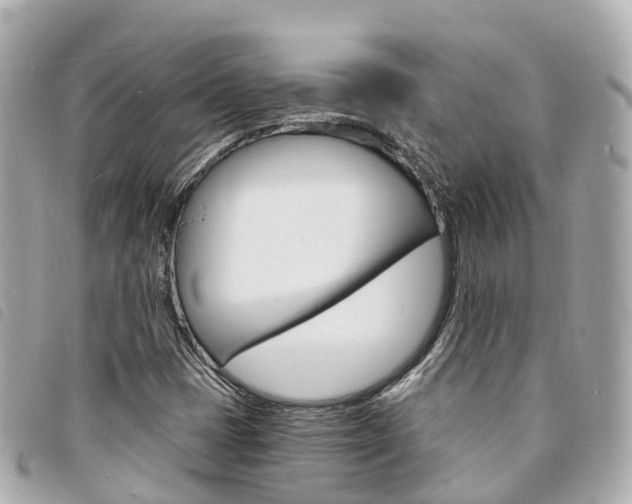 X0000094221401200710260944