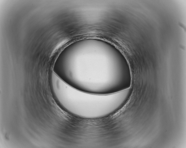 X0000094221402200710260944